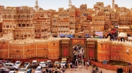 أخضر عصر صنعاء والجند سرب جراد