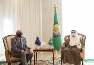 الاتحاد الأوروبي ومجلس التعاون يؤكدان على تسوية سياسية في اليمن ضمن المرجعيات الثلاث
