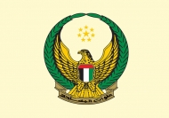  الامارات تستبدل قواتها المتواجدة باليمن بقوات اخرى 