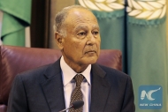 ابو الغيط يدعو للعمل على إنقاذ اليمن من أزمته الإنسانية الخطيرة