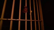 لجنة الصليب الاحمر الدولية تطلب زيارة المحتجزين في السجون الخاضعة لسيطرة المجلس الانتقالي بعدن